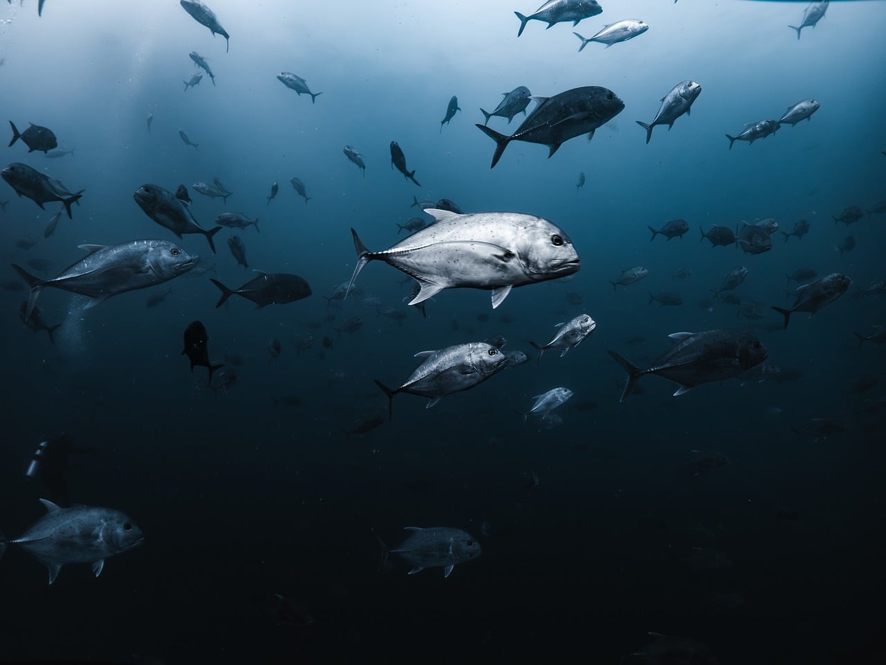 Underwater